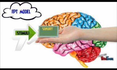 Information Processing In Cognitive Psychology