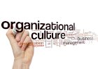 Proper Organizational Culture as a Key Instrument for Effective HR Management
