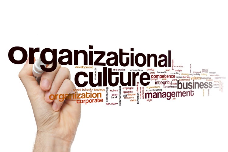 Proper Organizational Culture as a Key Instrument for Effective HR Management