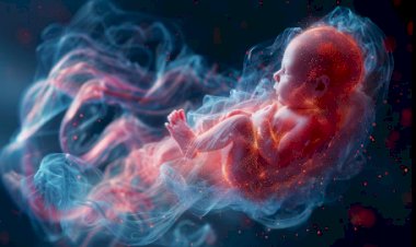 პრენატალური სტრესის ზემოქმედება ადამიანის განვითარებასა და ეპიგენეტიკაზე