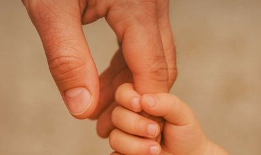 მამის მულტიფაქტორული  როლი Შვილის განვიᲗარებასა და ᲩამოყალიბებაᲨი